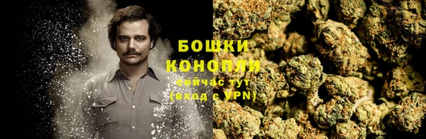 винт Магас