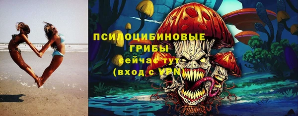 трава Чегем